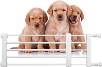 Ворота для собак в помещении - Низкие Ворота для домашних животных, Выдвижные Ворота безопасности для собак | Простая установка Ворот для домашних собак в дверных проемах, Лестницах, коридорах