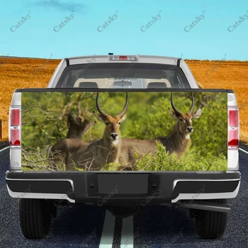 Наклейка с изображением животного Антилопы, защищающая хвост автомобиля, багажник, Виниловая пленка, наклейка для украшения капота автомобиля, наклейка для внедорожника-пикапа