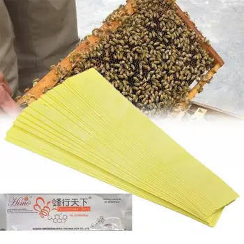 пчелиное лекарство Пчелиный набросок фторамидная полоска хризантемы Пчелиный воздушный змей наркотик пчелиный наркотик пчелиный наркотик пчеловодство