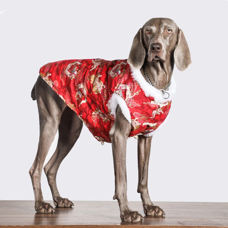 Одежда для собак на китайский Новый год, костюм Тан, Весенний фестиваль Чонсам, Одежда для больших домашних животных, пальто для собак породы Хаски Лабрадор Золотистый Ретривер 4